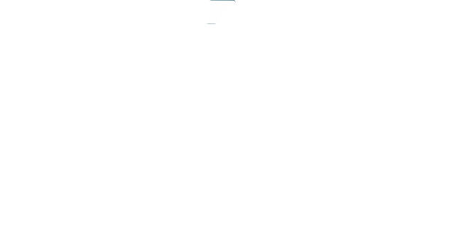 RHINO IMPORTS